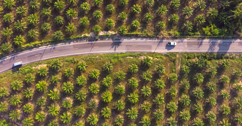 Malaysia's Biodiesel Industry: Driving Sustainability and Economic Growth with Palm Oil