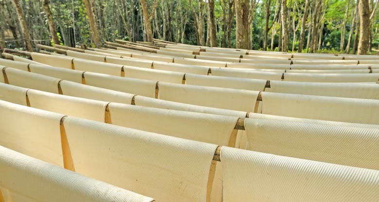 Rubber Manufacturing in Southeast Asia, an Introduction Part 2: Vietnam and Malaysia