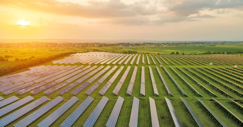 Green Horizons: Adapting to the Shifting Dynamics of Sustainability