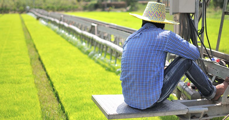 Southeast Asia's Plant-Based Food Market: New Consumer Behaviours Post-Pandemic