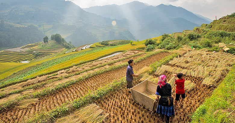 Thailand’s Food Production Soars as Tourism Suffers