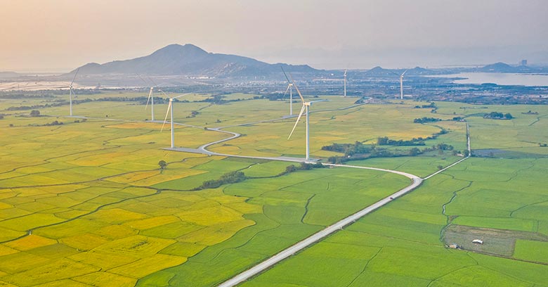 The Vital Role of the Private Sector in Vietnam’s Green Financing