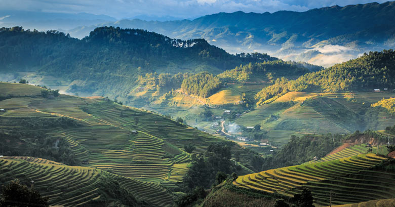 Rice terraces in Vietnam
