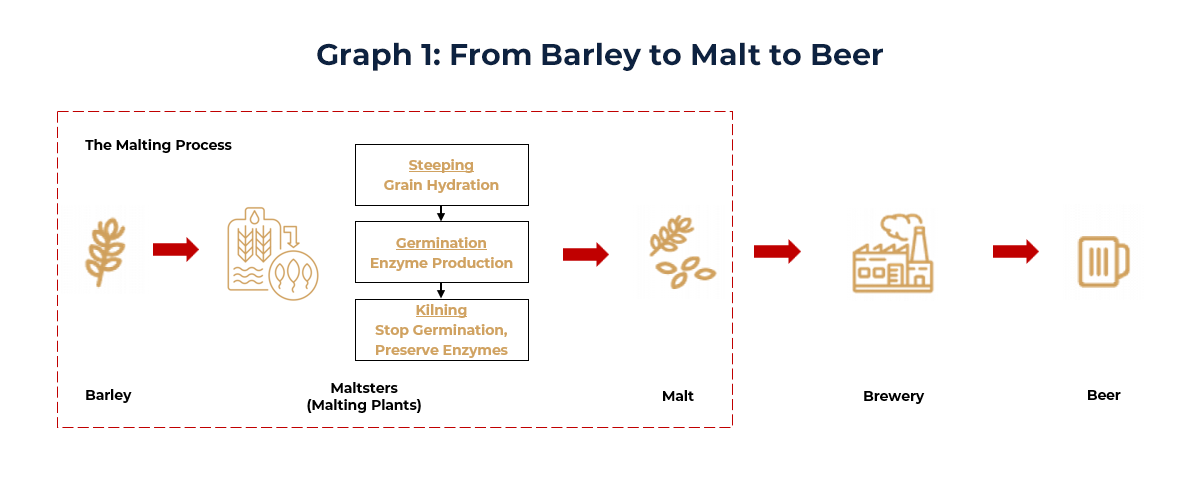 Chart explaining the malting process